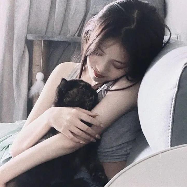 凡妮莎海辛第五季 海报