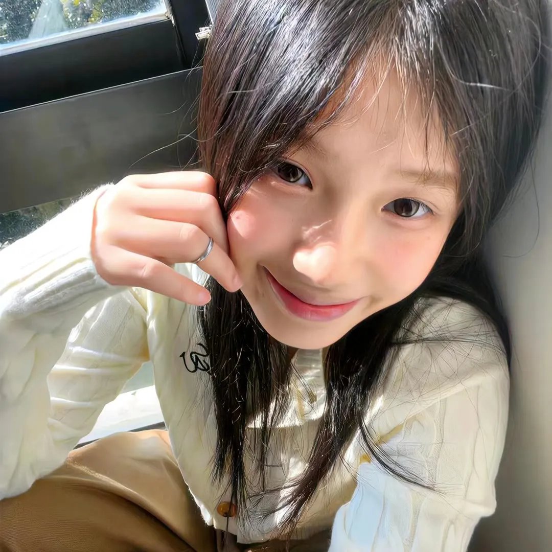 灰鸽子之歌 海报